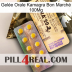 Gelée Orale Kamagra Bon Marché 100Mg new06